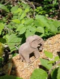 Miniatyrbild 2 av 5: Wudimals - Elefantfigur - K-PLAY