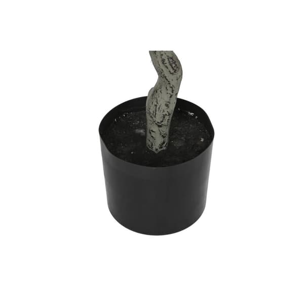 Träd Home ESPRIT Polyetylen Cement Eukalyptus 80 x 80 x 220 cm