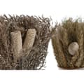 Miniatyrbillede 2 af 3: Dekorativ plante Home ESPRIT Blomst 13 x 13 x 25 cm (2 enheder) (12 enheder)