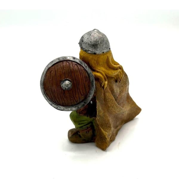 Viking Krigare med svärd och sköld