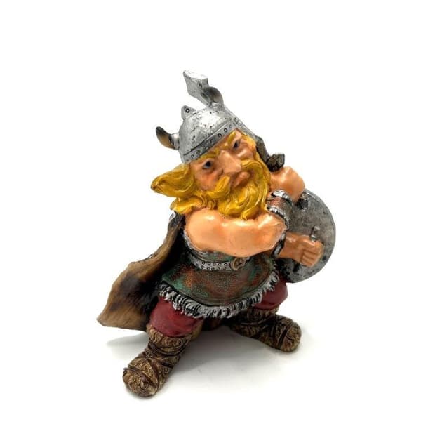 Viking Krigare med svärd och sköld