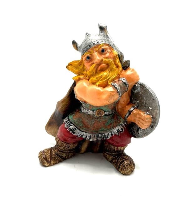 Viking Krigare med svärd och sköld