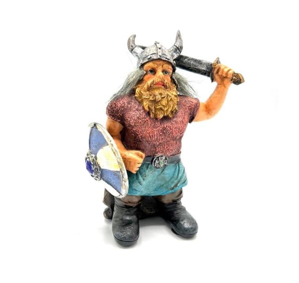 Viking Krigare med svärd och sköld