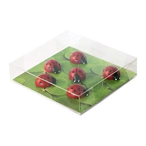 first4magnets sortiment av 6 kontorsmagneter/nyckelpiga - TF-FW3536