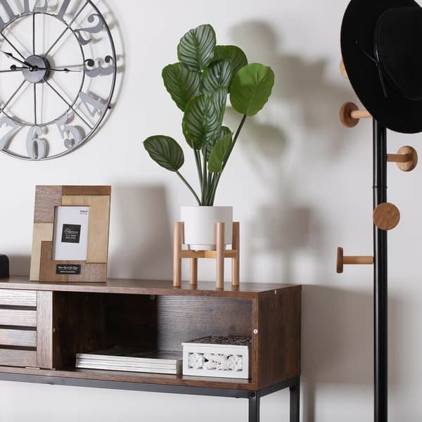 Dekorativ plante Versa
