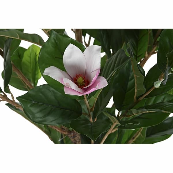 Dekorativ växt DKD Home Decor Rosa Grön PE (60 x 60 x 125 cm)