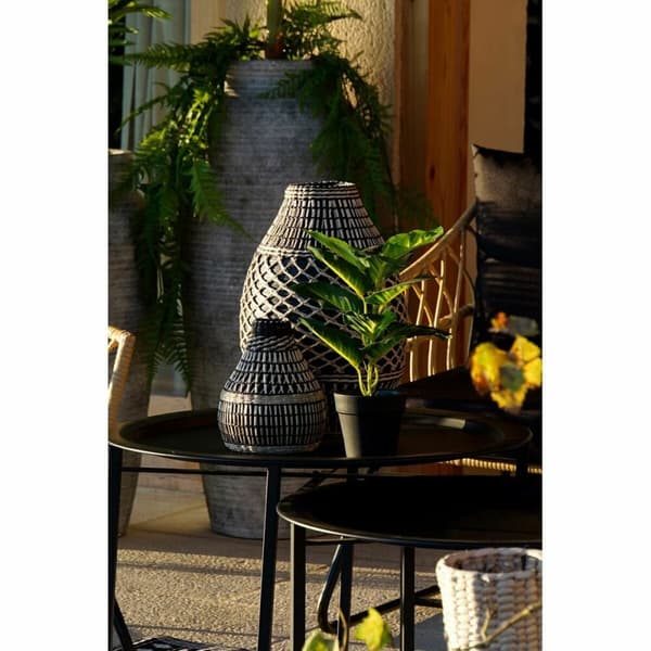 Dekorativ växt DKD Home Decor PVC polypropen 25 x 25 x 30 cm