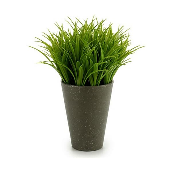 Dekorativ växt Ibergarden S18064 Plast 11 x 18 x 11 cm (12 antal)