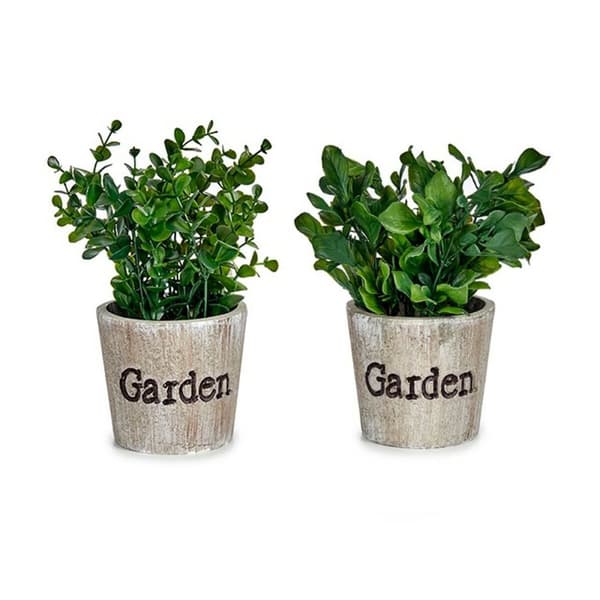 Dekorativ växt Ibergarden XD16-710 Plast 16 x 22 x 16 cm (12 antal)