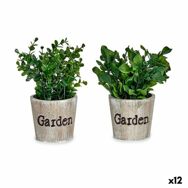 Dekorativ växt Ibergarden XD16-710 Plast 16 x 22 x 16 cm (12 antal)
