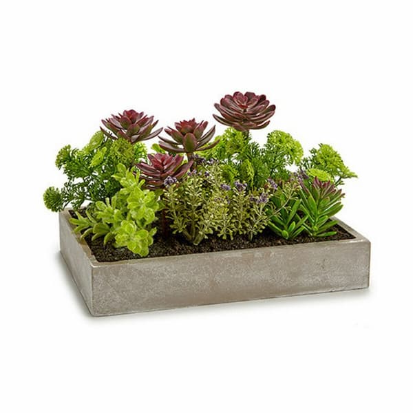 Dekorativ växt Ibergarden XD18-1220 Plast Cement Suckulent 16,5 x 20 x 28,5 cm (6 antal)