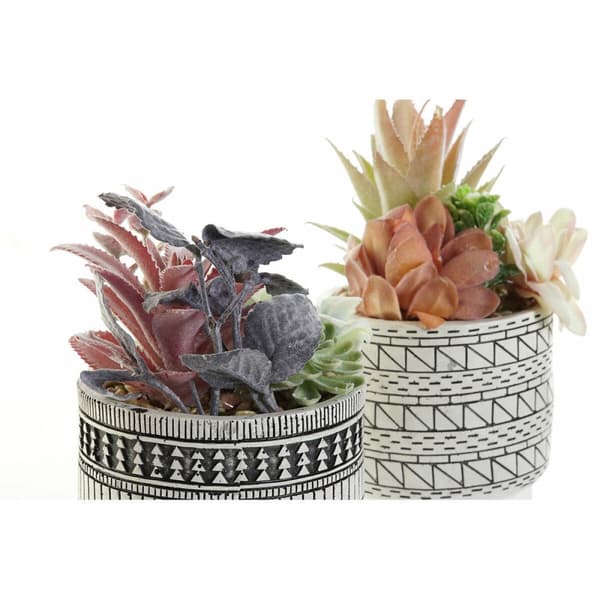Dekorativ plante DKD Home Decor Kaktus Harpiks Polyetylen 11 x 11 x 21 cm (2 enheder)