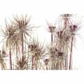 Miniatyrbillede 2 af 4: Dekorativ plante DKD Home Decor Brun Polyetylen Grøn PVC 40 x 40 x 120 cm (2 enheder)