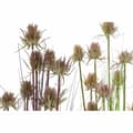 Miniatyrbillede 2 af 3: Dekorativ plante DKD Home Decor 40 x 40 x 150 cm Pink Syren Polyetylen PVC (2 enheder)