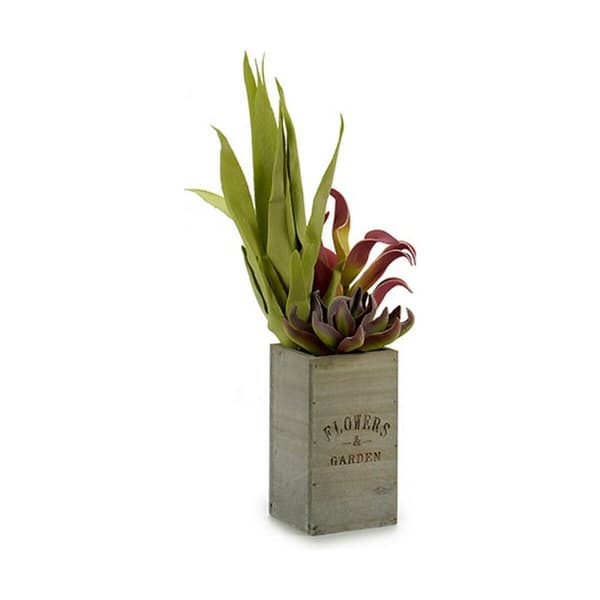 Dekorativ plante Ibergarden Flowers Garden 10 x 50 x 10 cm Brun Grøn (4 enheder)