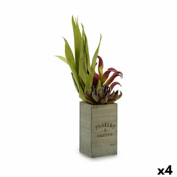 Dekorativ plante Ibergarden Flowers Garden 10 x 50 x 10 cm Brun Grøn (4 enheder)