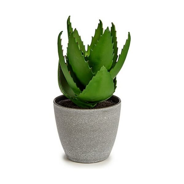 Dekorativ plante Ibergarden YC184573 Plastik Aloe Vera 15 x 23,5 x 15 cm (6 enheder)