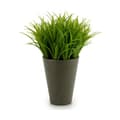 Miniatyrbillede 2 af 2: Dekorativ plante Ibergarden S18064 Plastik 11 x 18 x 11 cm (12 enheder)