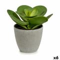 Miniatyrbillede 1 af 2: Dekorativ plante Ibergarden YC184572 Plastik 18 x 18,5 x 18 cm (6 enheder)