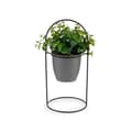 Miniatyrbillede 2 af 3: Dekorativ plante Ibergarden QY-H093 Metal Plastik Ark Cirkulær 21 x 30 x 21 cm (8 enheder)