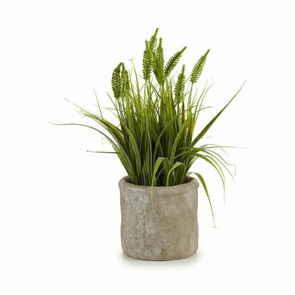 Dekorativ plante Ibergarden XD171059 Plastik Øre (af hvede) 12 x 30 x 12 cm (8 enheder)