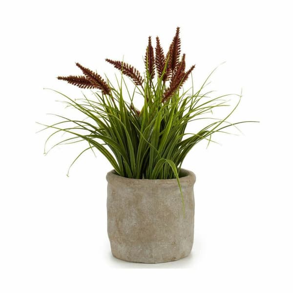 Dekorativ plante Ibergarden XD171059 Plastik Øre (af hvede) 12 x 30 x 12 cm (8 enheder)