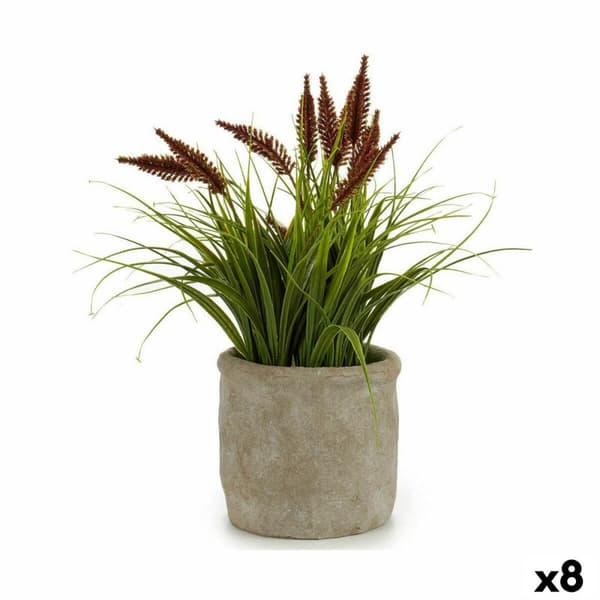 Dekorativ plante Ibergarden XD171059 Plastik Øre (af hvede) 12 x 30 x 12 cm (8 enheder)