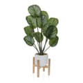 Miniatyrbillede 1 af 2: Dekorativ plante Versa