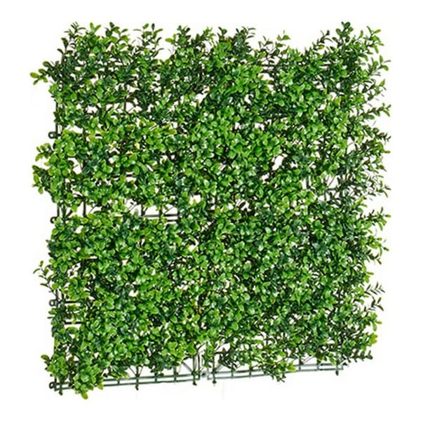 Dekorativ Plante Ibergarden MZ188019A 50 x 5 x 50 cm