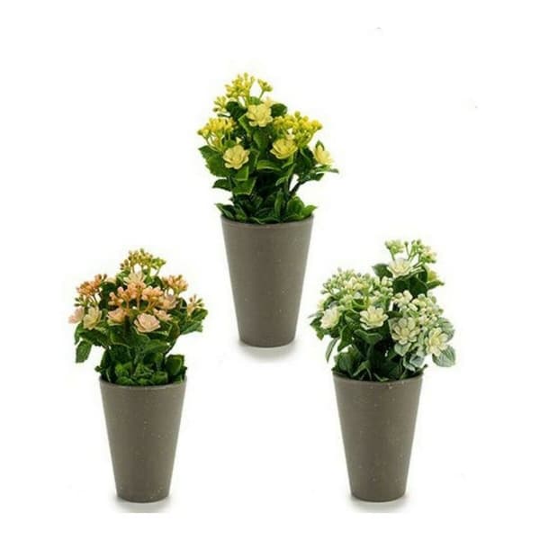 Dekorativ Plante Ibergarden Plast 11 x 22 x 11 cm