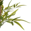 Miniatyrbilde 2 av 2: Dekorativ Plante Ibergarden BRS-ADK112 Plast Jernkabel Bambus 80 x 150 x 80 cm