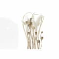 Miniatyrbilde 3 av 3: Dekorativ Figur DKD Home Decor 15 x 15 x 26 cm Brun Kukat