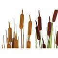 Miniatyrbilde 2 av 3: Dekorativ Plante DKD Home Decor Polyetylen Grønn Burgunder PVC 40 x 40 x 120 cm Sennep (2 enheter)