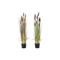 Miniatyrbilde 1 av 3: Dekorativ Plante DKD Home Decor Polyetylen Grønn Burgunder PVC 40 x 40 x 120 cm Sennep (2 enheter)