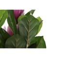Miniatyrbilde 3 av 4: Dekorativ Plante DKD Home Decor Rosa Grønn PE (60 x 60 x 125 cm)