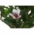 Miniatyrbilde 2 av 4: Dekorativ Plante DKD Home Decor Rosa Grønn PE (60 x 60 x 125 cm)