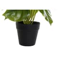 Miniatyrbilde 3 av 4: Dekorativ Plante DKD Home Decor PVC polypropylen 20 x 20 x 30 cm