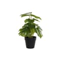 Miniatyrbilde 1 av 4: Dekorativ Plante DKD Home Decor PVC polypropylen 20 x 20 x 30 cm