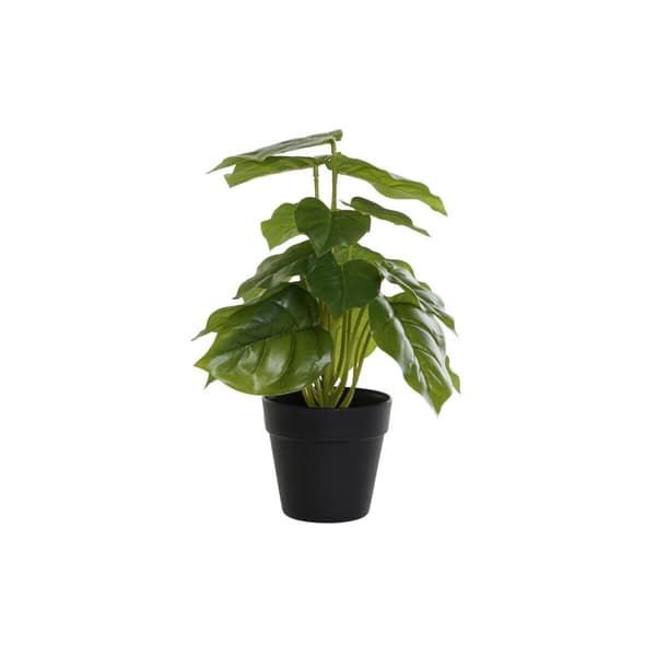 Dekorativ Plante DKD Home Decor PVC polypropylen 20 x 20 x 30 cm