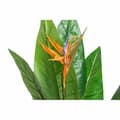 Miniatyrbilde 2 av 4: Dekorativ Plante DKD Home Decor PVC Plast 100 x 100 x 145 cm