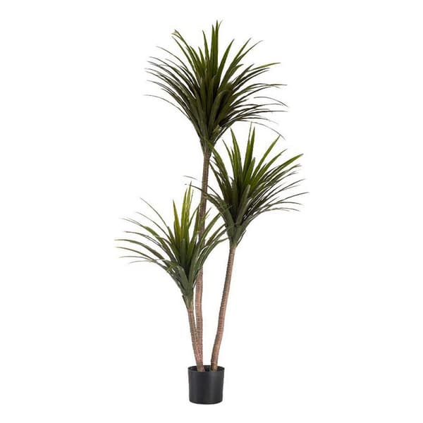 Dekorativ Plante Ibergarden BRS-ADE181 Plast Jernkabel Smalt blad 80 x 200 x 105 cm