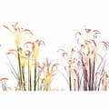 Miniatyrbilde 2 av 3: Dekorativ Plante DKD Home Decor Metall Oransje Grønn Burgunder PVC 35 x 35 x 114 cm (2 enheter)