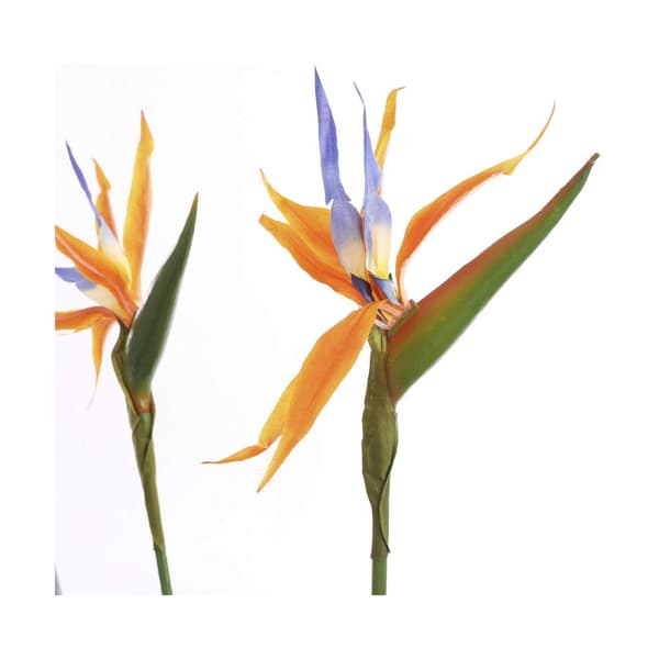 Dekorativ Plante Mica Decorations (60 x 110 cm)