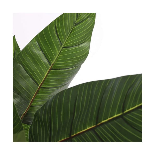 Dekorativ Plante Mica Decorations (60 x 110 cm)