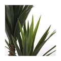 Miniatyrbilde 6 av 11: Dekorativ Plante Mica Decorations Yucca (120 x 60 cm)