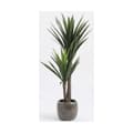 Miniatyrbilde 9 av 11: Dekorativ Plante Mica Decorations Yucca (120 x 60 cm)