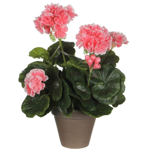 Dekorativ Plante Mica Decorations PVC Geranium (11,5 x 33 cm)