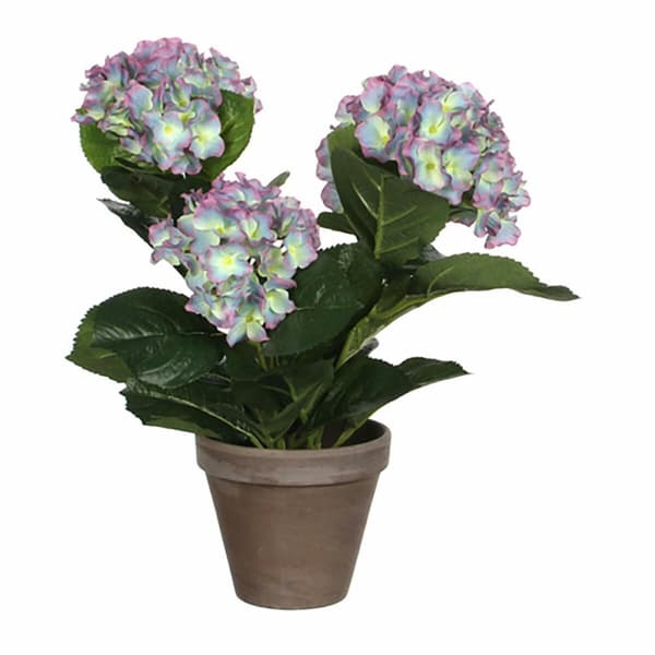 Dekorativ Plante Mica Decorations Magnolia 35 x 40 cm