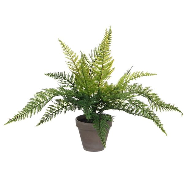 Dekorativ Plante Mica Decorations 40 x 11,5 cm Keramikk PVC Bregne