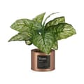 Miniatyrbilde 2 av 2: Dekorativ Plante Ibergarden Home Metall Plast Blikkboks 26 x 26 x 26 cm Kopper (6 enheter)